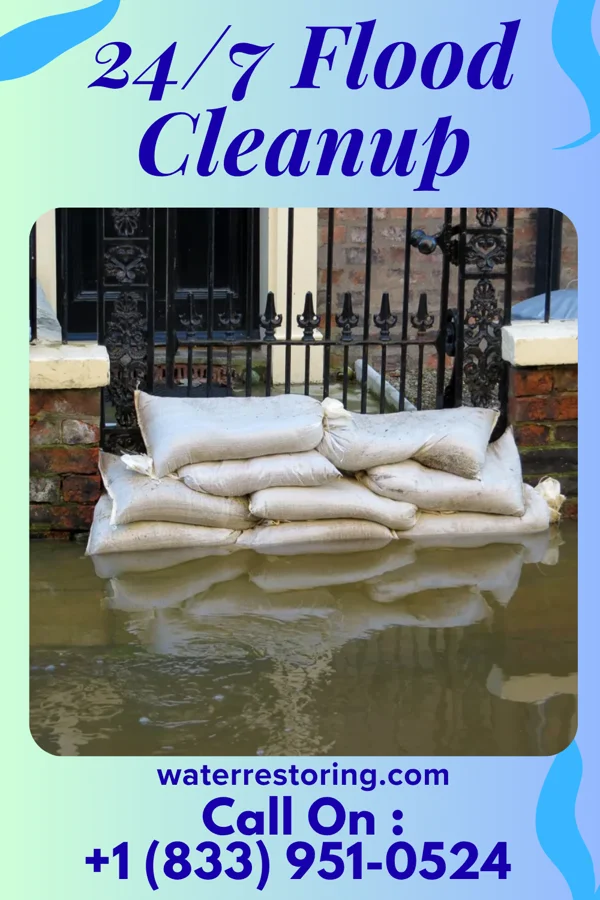 24/7 Flood Cleanup in Winton, MN