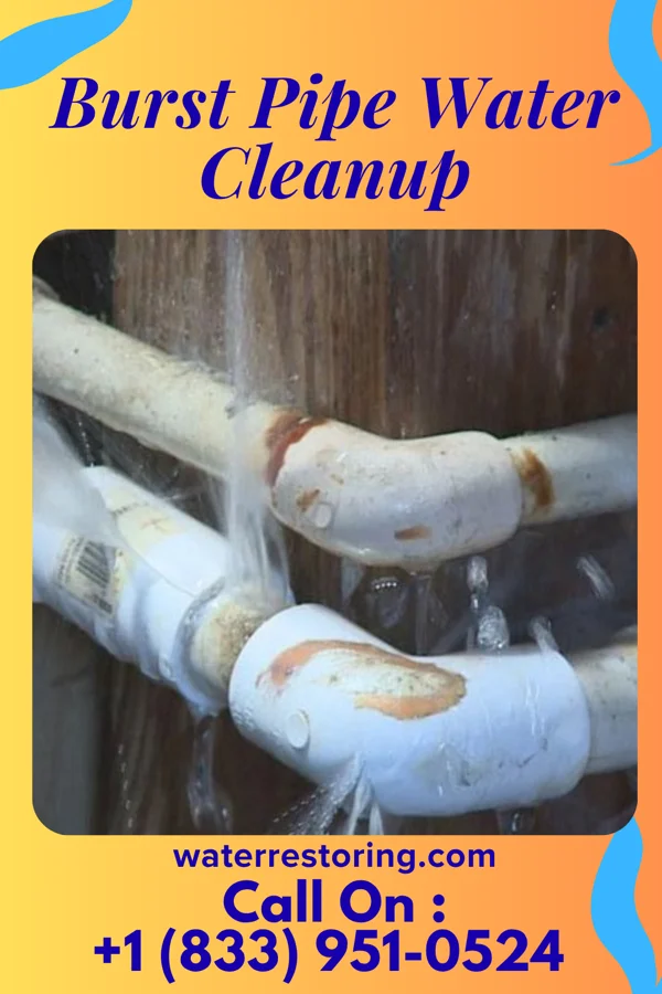 Burst Pipe Water Cleanup in Winton, MN