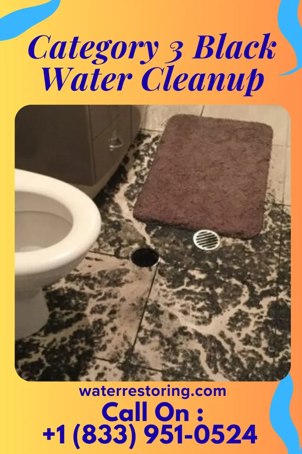 Category 3 Black Water Cleanup in Winton, MN