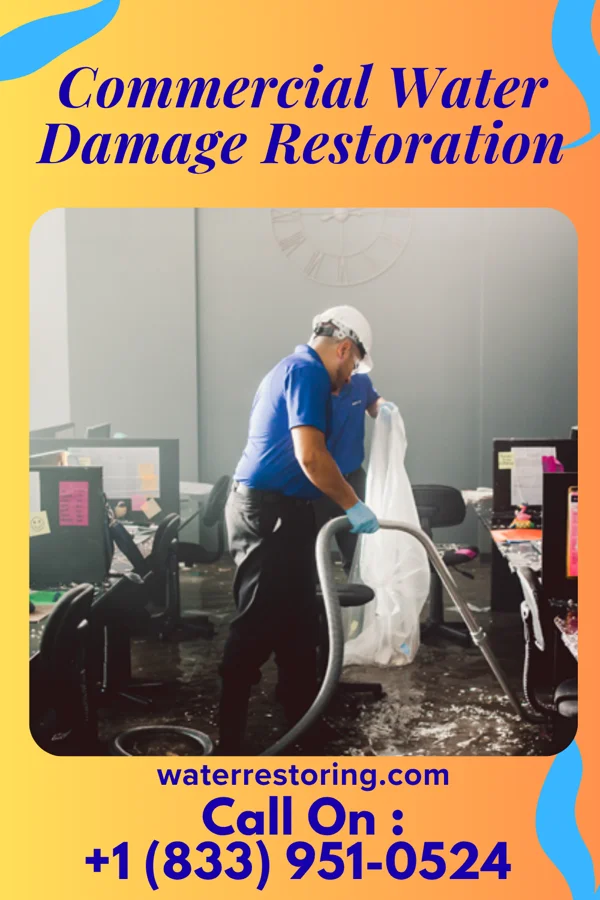 Commercial Water Damage Restoration in Winton, MN