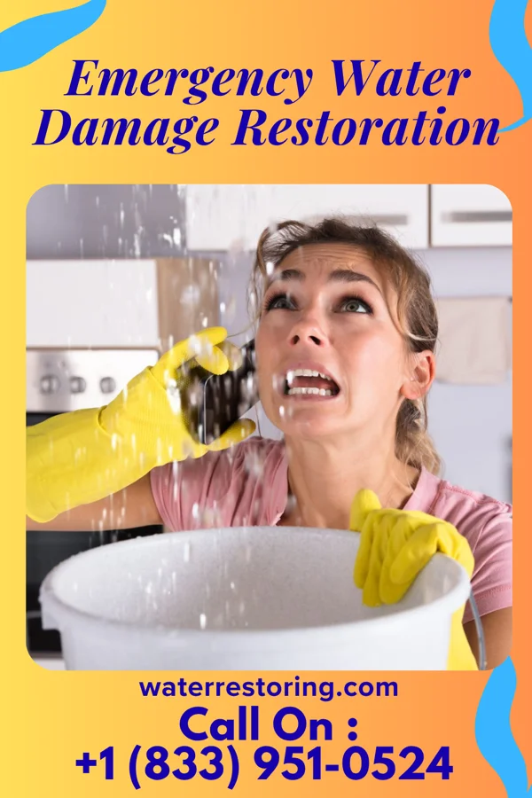 Emergency Water Damage Restoration in Winton, MN