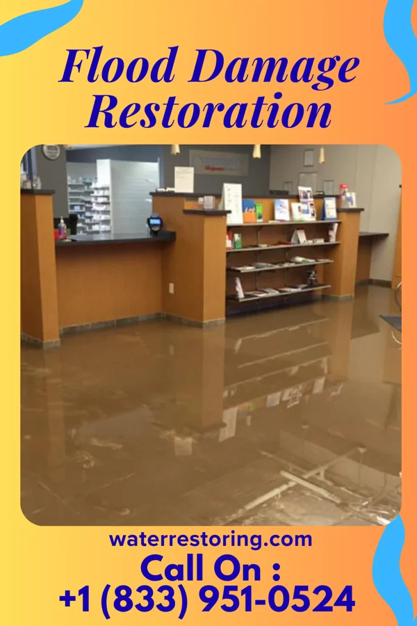 Flood Damage Restoration in Winton, MN