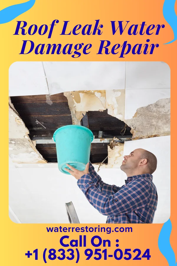 Roof Leak Water Damage Repair in Winton, MN